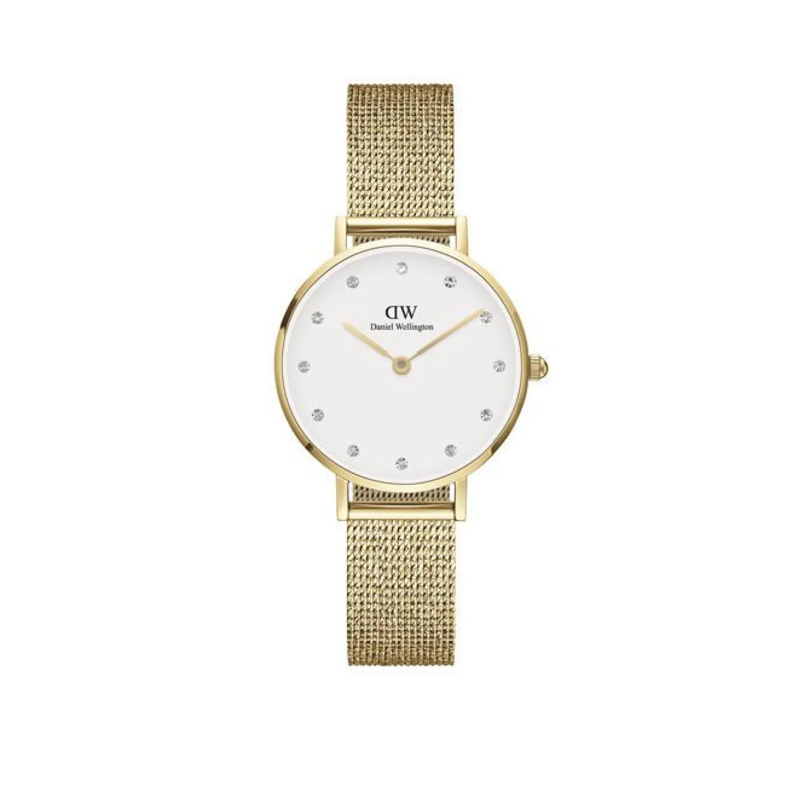 orologio_daniel_wellingto_0-157.webp Online Orologio Wellington Petite Lumine Pressed Evergold 28 | DW00100604 Donna Orologi Donna